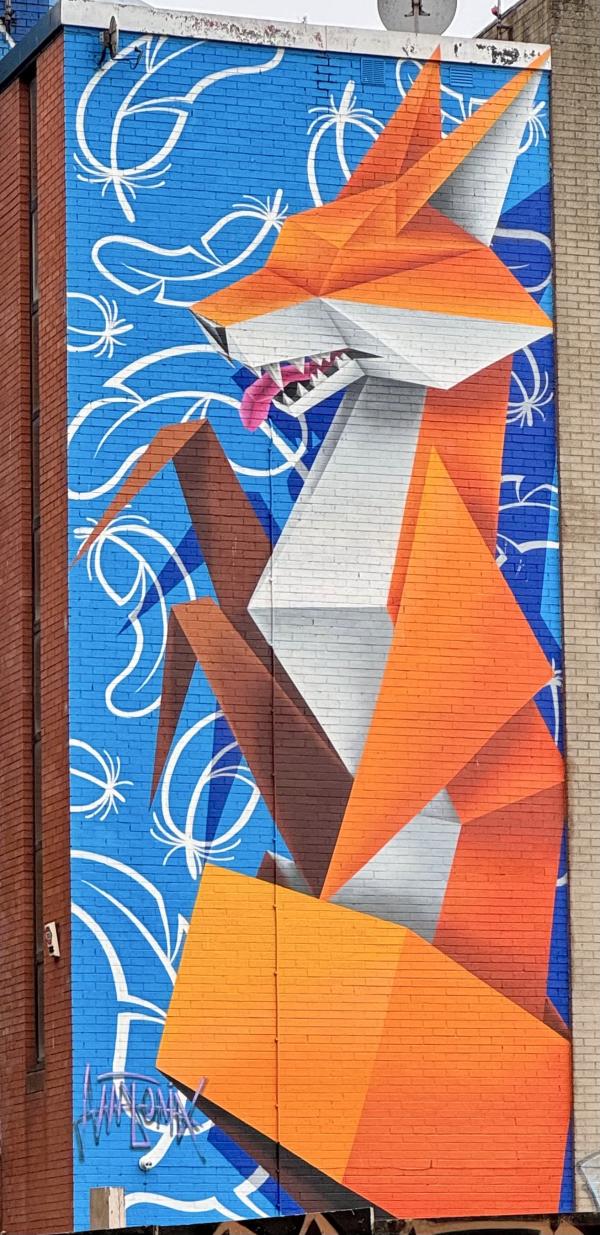 Geometric Fox